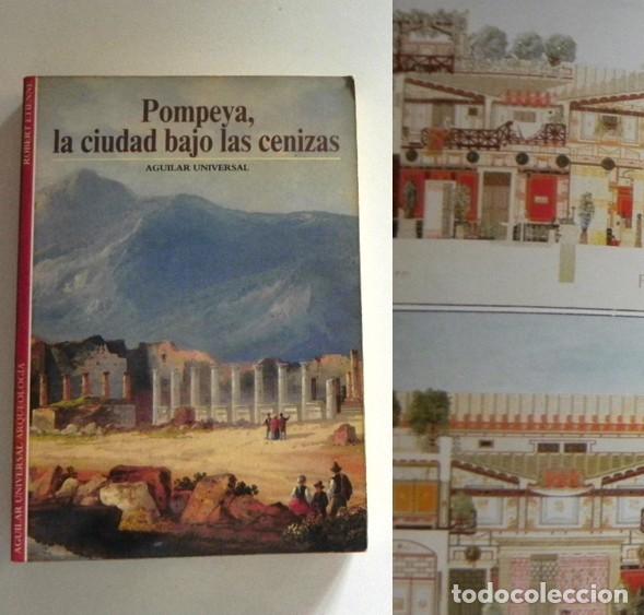 Second hand books: POMPEYA LA CIUDAD BAJO LAS CENIZAS LIBRO MUY ILUSTR ROMANOS HISTORIA ARQUEOLOG&Iacute;A VOLC&Aacute;N ITALIA FOTOS