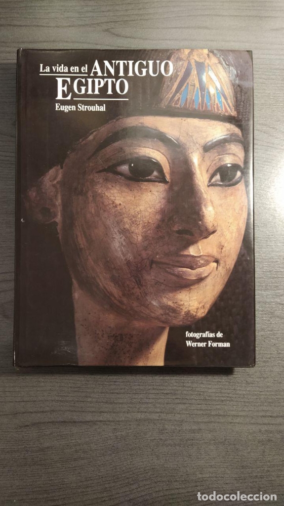 Libros de segunda mano: LA VIDA EN EL ANTIGUO EGIPTO.  EUGEN STROUHAL - .  - EDICIONES FOLIO - Foto 1