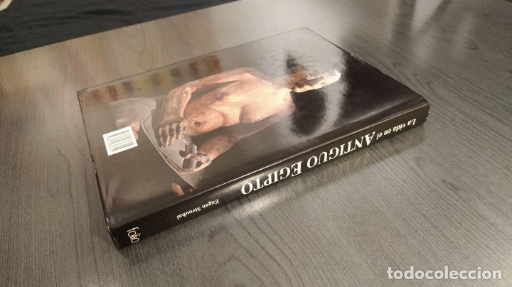 Libros de segunda mano: LA VIDA EN EL ANTIGUO EGIPTO.  EUGEN STROUHAL - .  - EDICIONES FOLIO - Foto 2