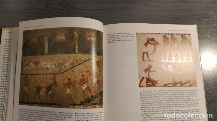 Libros de segunda mano: LA VIDA EN EL ANTIGUO EGIPTO.  EUGEN STROUHAL - .  - EDICIONES FOLIO - Foto 4