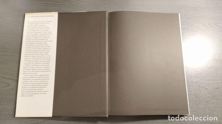 Libros de segunda mano: LA VIDA EN EL ANTIGUO EGIPTO.  EUGEN STROUHAL - .  - EDICIONES FOLIO - Foto 8
