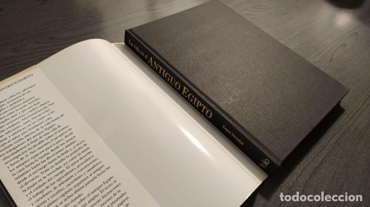 Libros de segunda mano: LA VIDA EN EL ANTIGUO EGIPTO.  EUGEN STROUHAL - .  - EDICIONES FOLIO - Foto 9