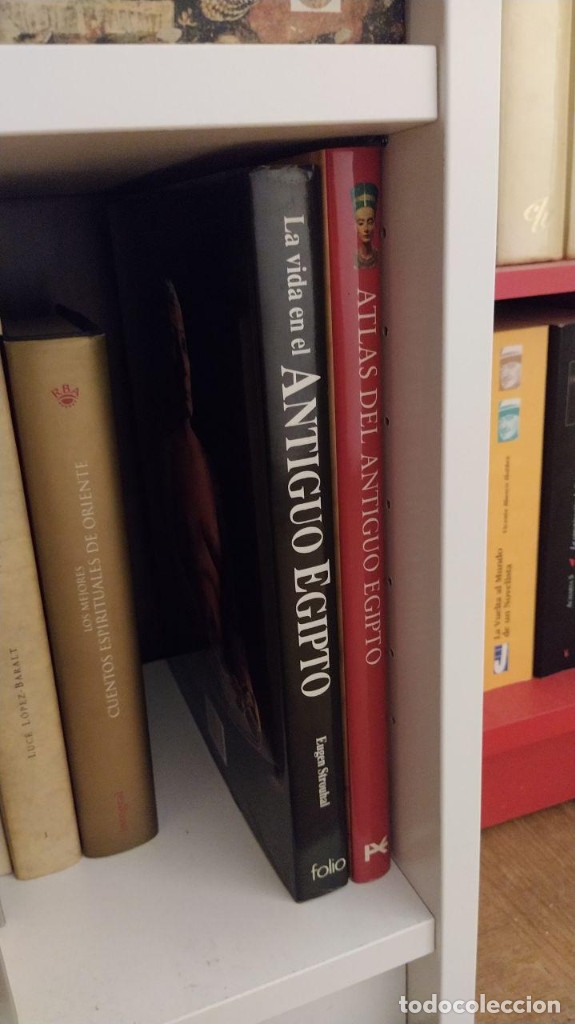Libros de segunda mano: LA VIDA EN EL ANTIGUO EGIPTO.  EUGEN STROUHAL - .  - EDICIONES FOLIO - Foto 11