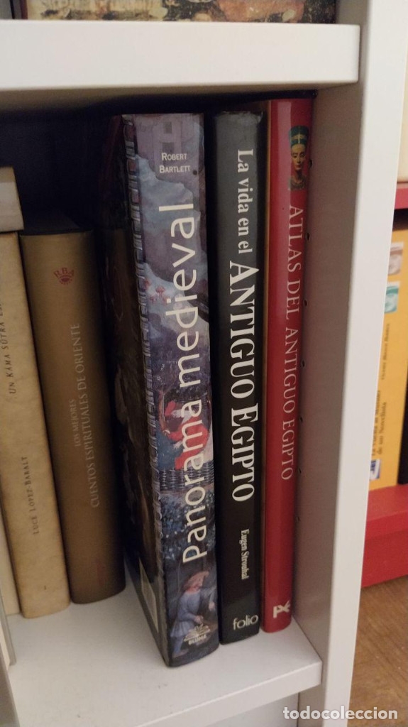 Libros de segunda mano: PANORAMA MEDIEVAL. ROBERT BARTLETT. ED. BLUME. - Foto 3