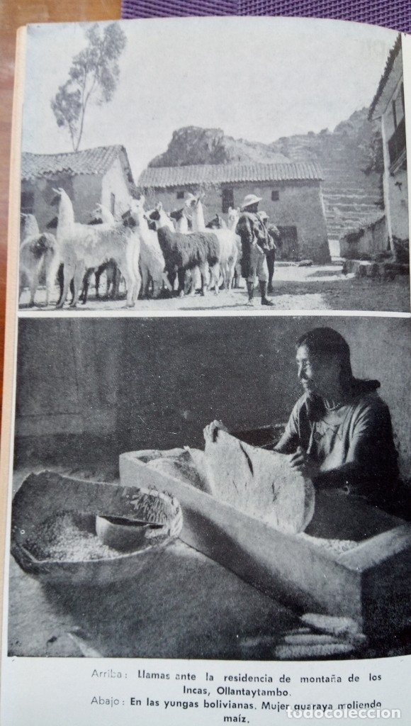 Libros de segunda mano: El imperio Inca Siegfried Huber - Foto 6