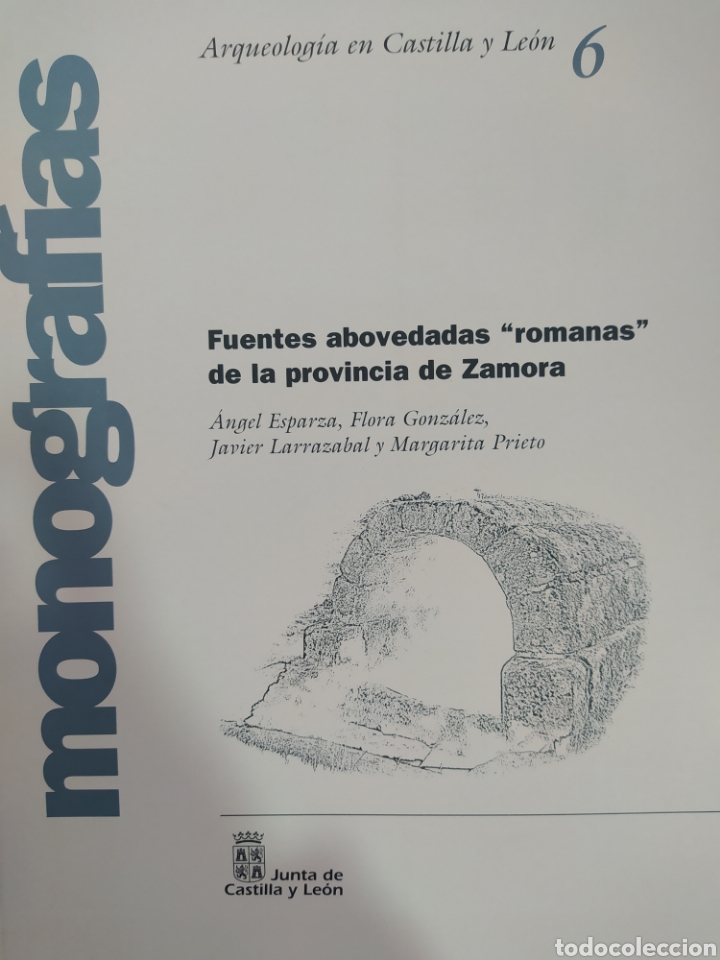 Libri di seconda mano: Arqueolog&iacute;a en Castilla y Le&oacute;n fuentes abovedadas romanas de la provincia de Zamora