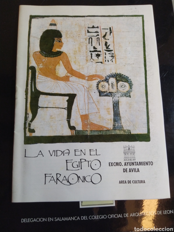 Gebrauchte B&uuml;cher: La vida en el Egipto fara&oacute;nico &Aacute;vila 1992