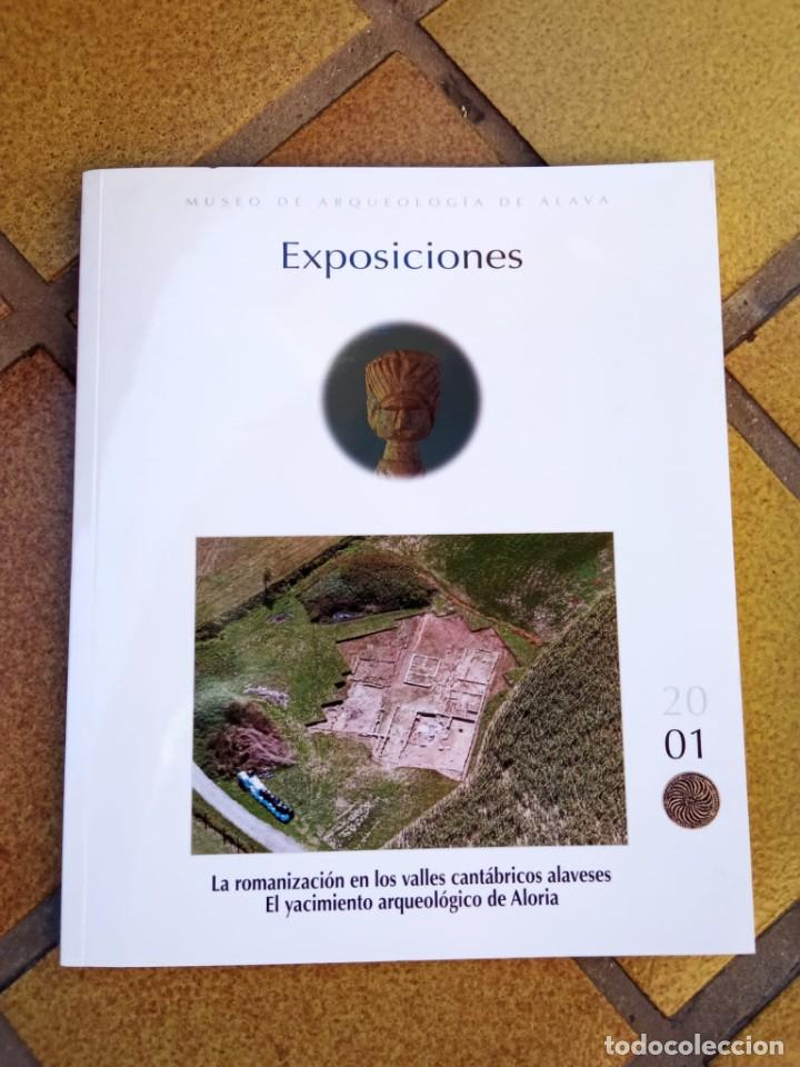Second hand books: La romanizaci&oacute;n en los valles cant&aacute;bricos alaveses. El yacimiento arqueol&oacute;gico de Aloria