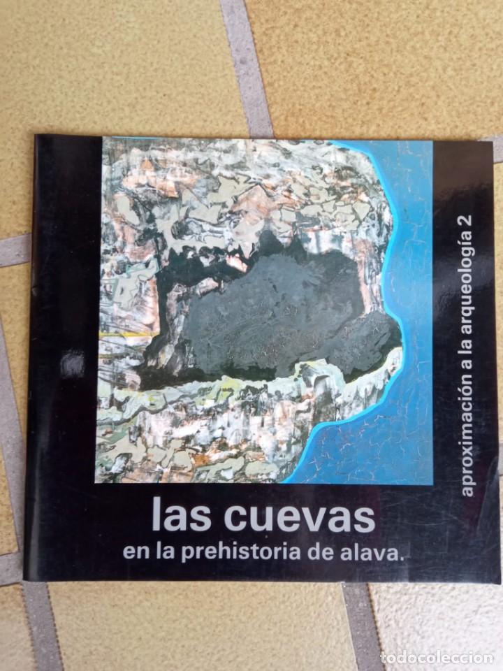 Libros de segunda mano: Las cuevas en la prehistoria de &Aacute;lava. Aproximaci&oacute;n a la arqueolog&iacute;a.2
