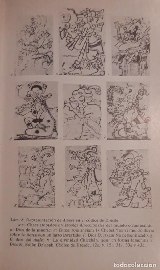 Libros de segunda mano: HISTORIA Y RELIGI&Oacute;N DE LOS MAYAS - Foto 4