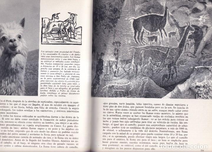 Libros de segunda mano: LOS REINOS AMERICANOS DEL SOL - AZTECAS MAYAS INCAS - VICTOR W. VON HAGEN - EDITORIAL LABOR 1964 - Foto 4 - 264350574