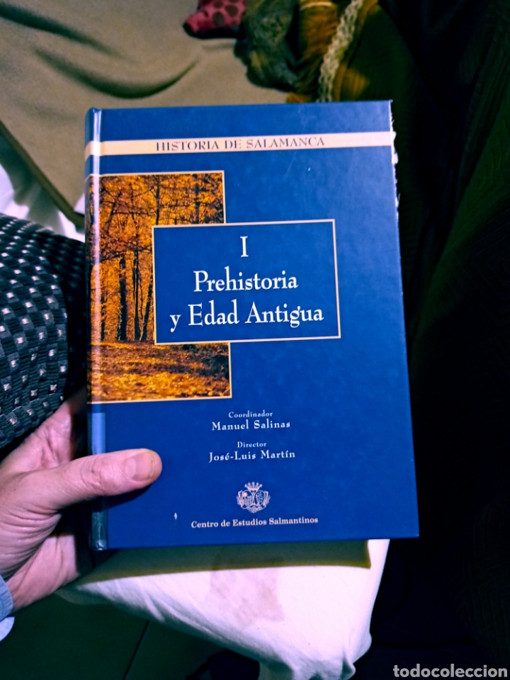 Libros de segunda mano: Historia de Salamanca. I Prehistoria y Edad Antigua