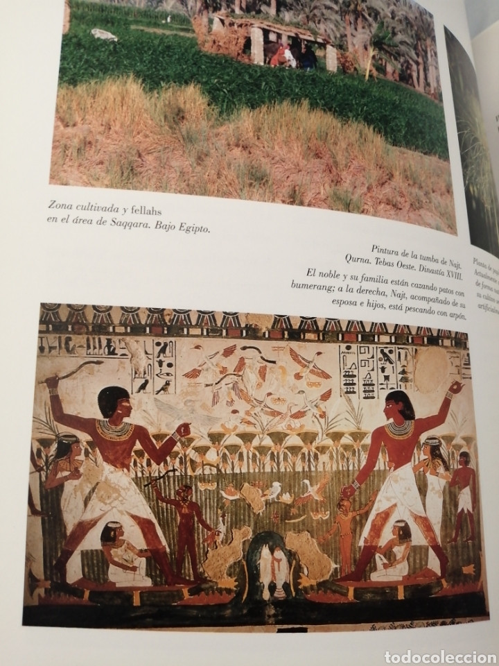Libros de segunda mano: EGIPTO. LLAMADA AL M&Aacute;S ALL&Aacute; - Foto 8