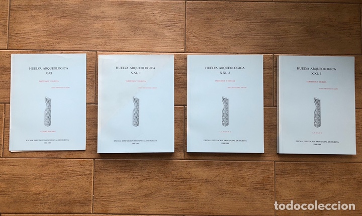 Libri di seconda mano: Huelva Arqueol&oacute;gica X-XI