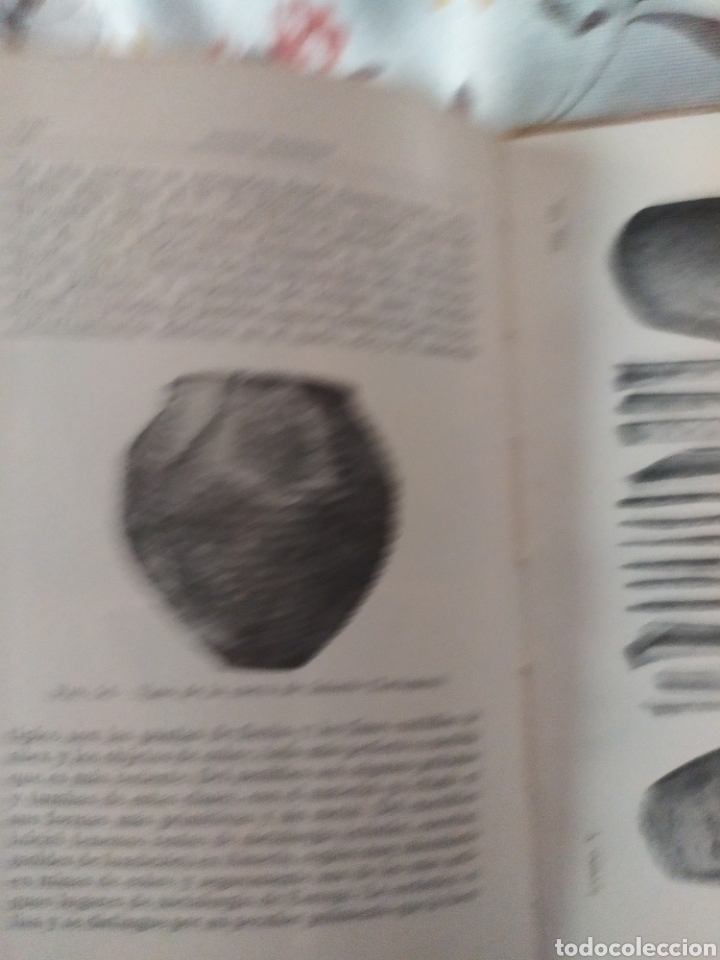 Libros de segunda mano: Prehistoria I. La edad de la piedra - Foto 3