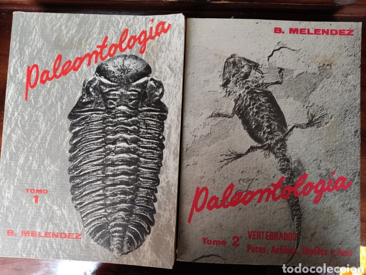 Second hand books: PALEONTOLOG&Iacute;A B. MEL&Eacute;NDEZ DOS TOMOS GENERALIDADES INVERTEBRADOS Y VERTEBRADOS