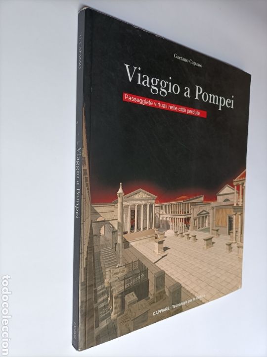 Libri di seconda mano: Viaggio a Pompei Passeggiate virtuali nelle citta perdure .Gaetano Capasso .. arte romano