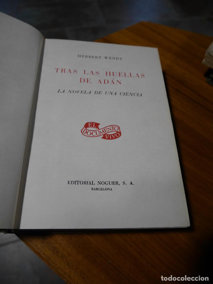 Libros de segunda mano: Tras las huellas de Ad&aacute;n, Herbert Wendt - Foto 2