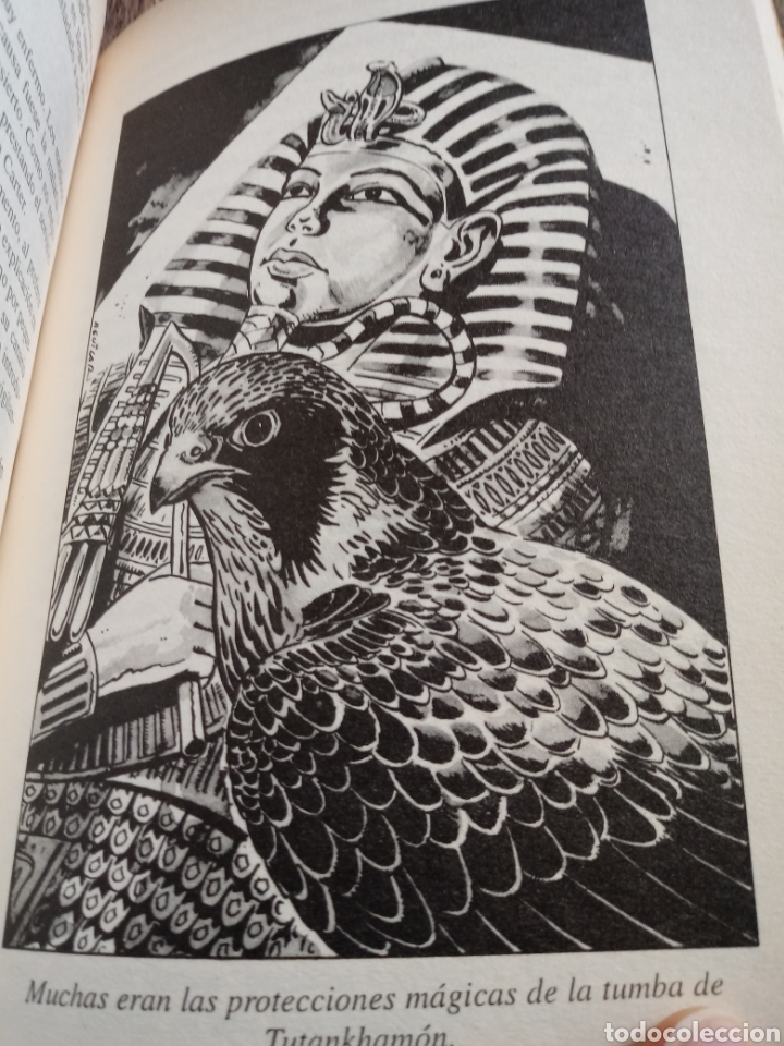 Libros de segunda mano: Tutankhamon de Carter Scott - Foto 9