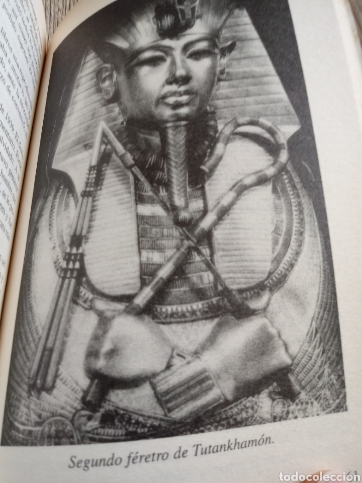Libros de segunda mano: Tutankhamon de Carter Scott - Foto 12