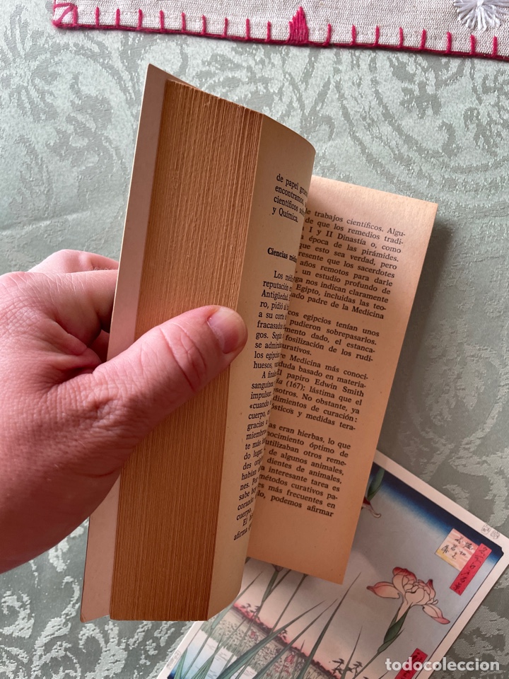 Libros de segunda mano: El antiguo Egipto (libro) - Foto 2