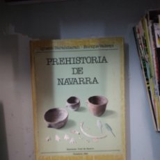 Libros de segunda mano: PREHISTORIA DE NAVARRA, IGNACIO BARANDIARAN, 1980. Lote 365784716