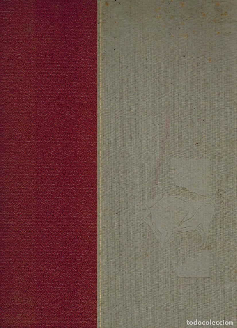 Libros de segunda mano: HISTORIA DE ESPA&Ntilde;A - Foto 1