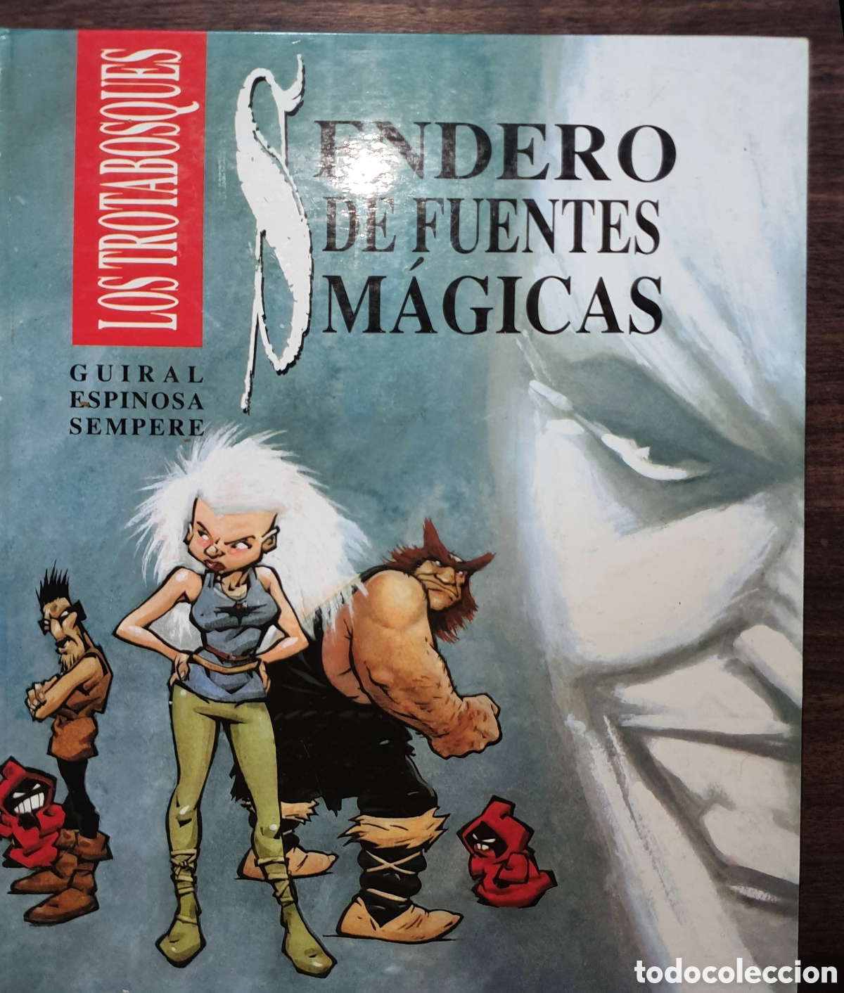 Libros de segunda mano: Senderos de fuentes m&aacute;gicas - Foto 1