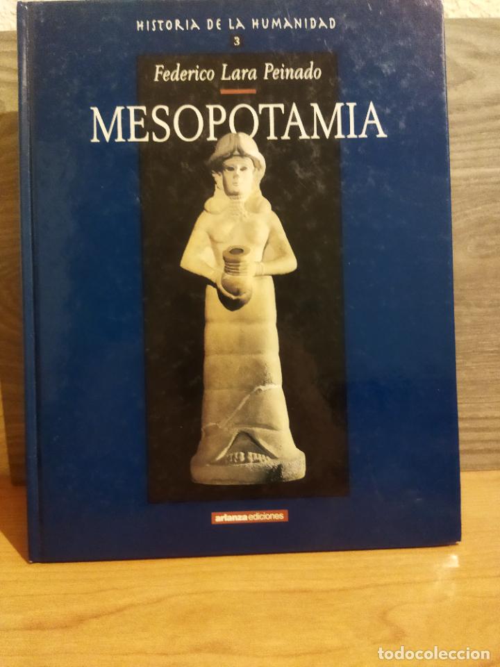 Libros de segunda mano: Mesopotamia