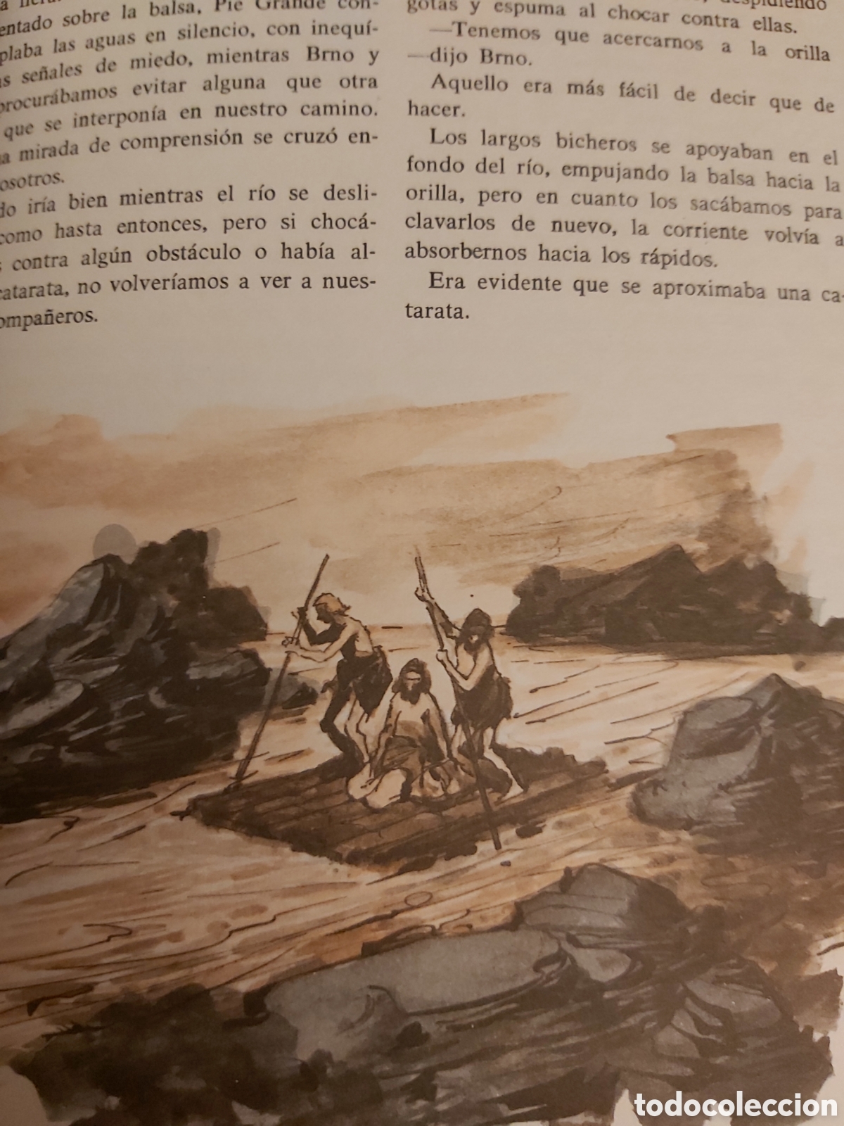 Libros de segunda mano: TOC&Oacute;N EN LAS CAVERNAS $ ALDO BERTI $ EDAF EDICIONES $ 1974 - Foto 6