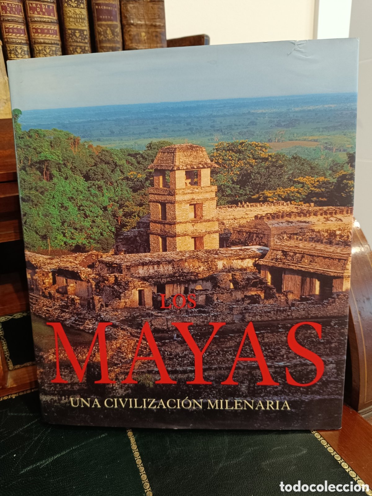mayas, los. una civilizacion milenaria [kon] : nikolai grube