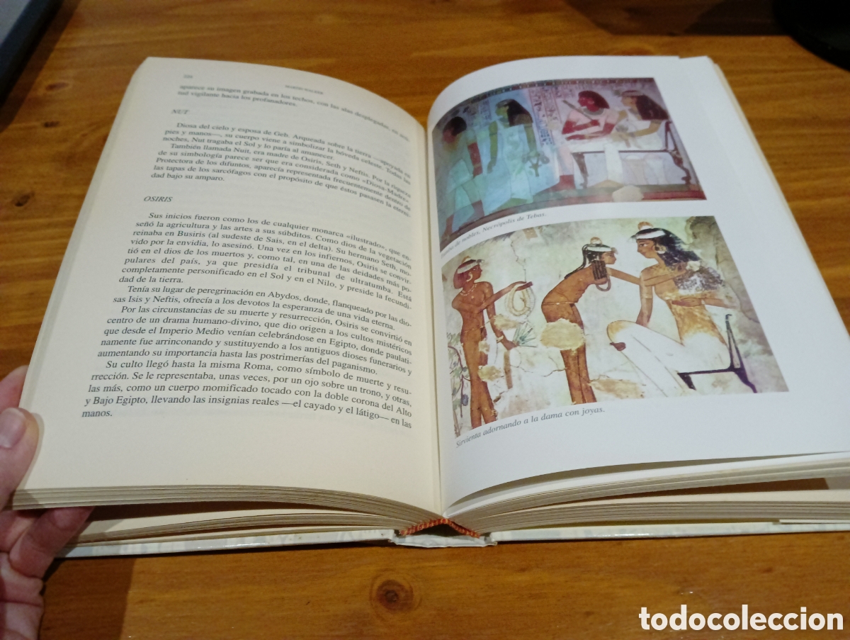 Libros de segunda mano: Historia del antiguo Egipto - Foto 5