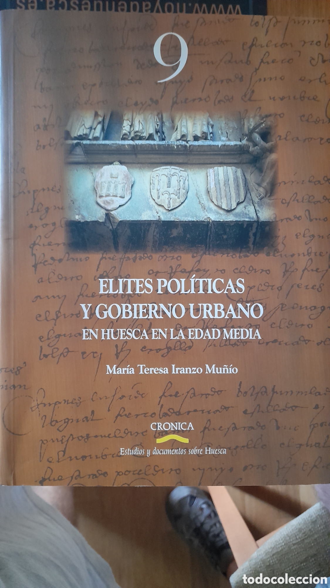 Second hand books: &Eacute;LITES POL&Iacute;TICAS Y GOBIERNO URBANO EN HUESCA EN LA EDAD MEDIA
