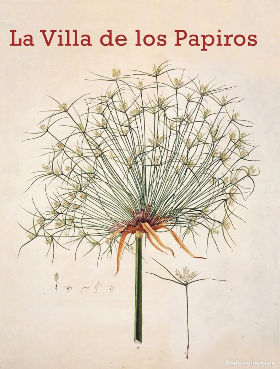 Libros de segunda mano: La Villa de los Papiros, Casa del Lector, 2013 - Foto 1