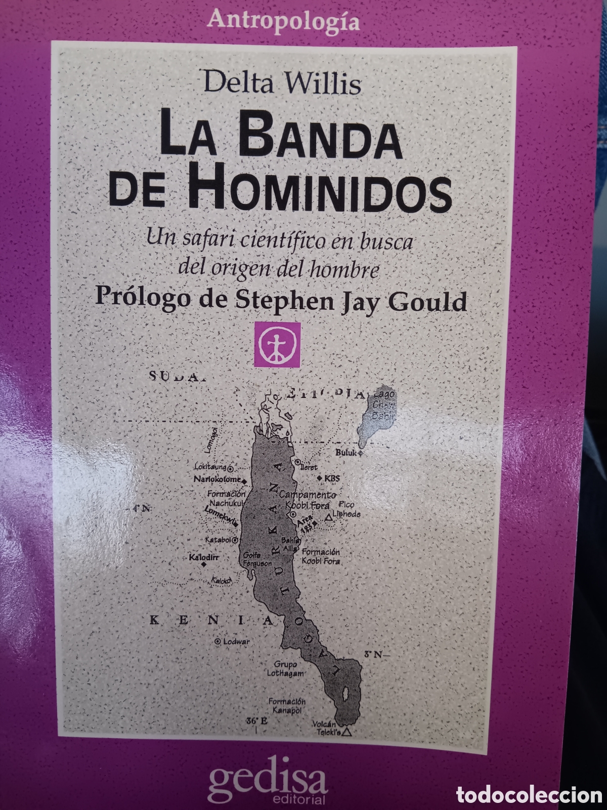 Gebrauchte B&uuml;cher: Delta Willis. La banda de los hom&iacute;nidos