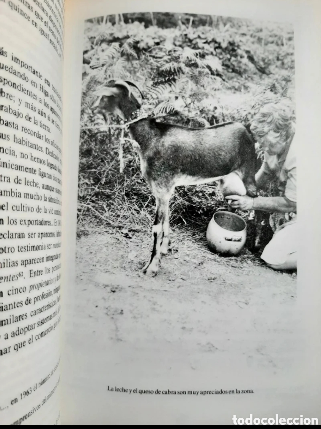 Libros de segunda mano: Higa. M. Rodr&iacute;guez Mesa - Foto 2