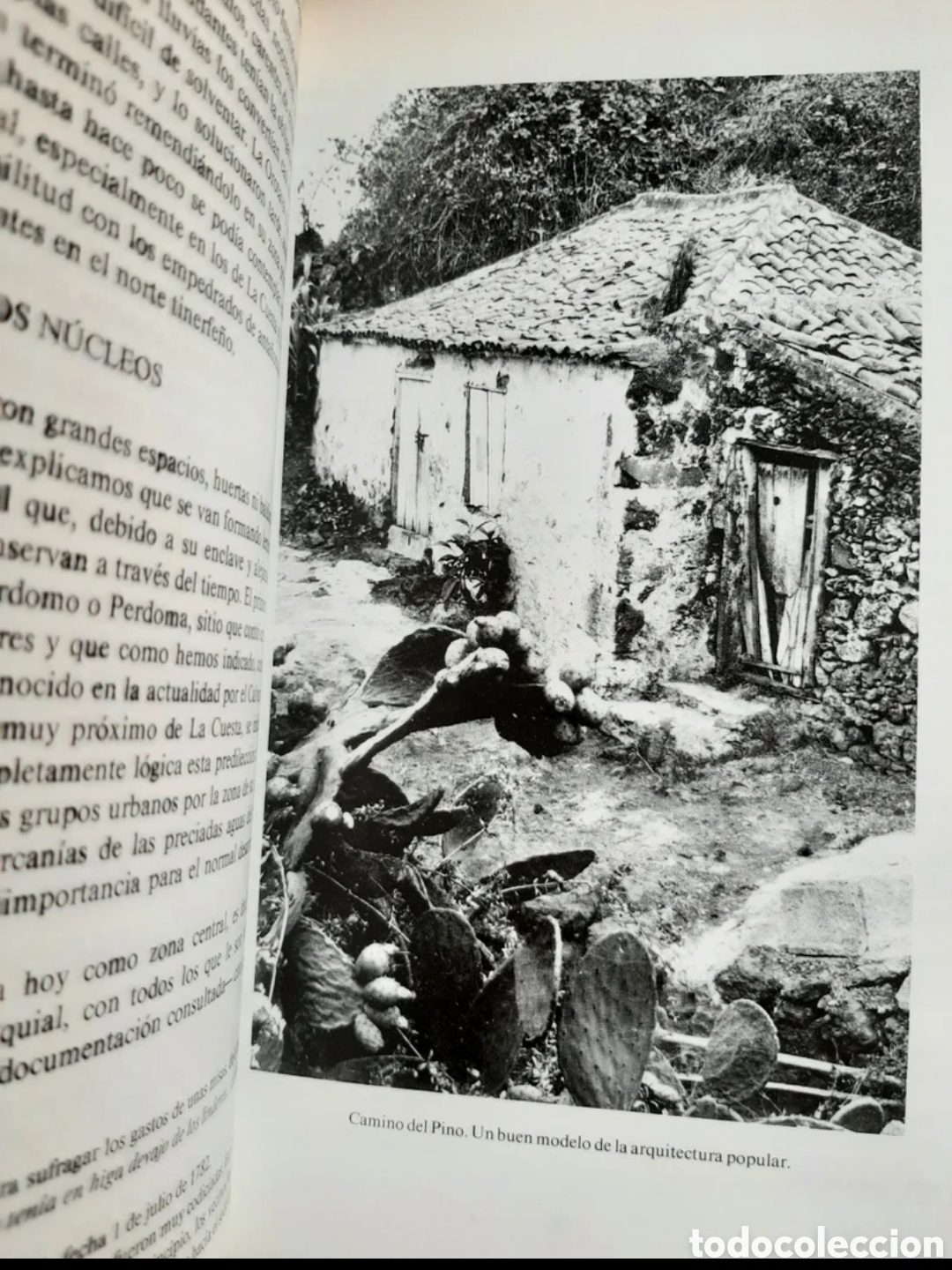 Libros de segunda mano: Higa. M. Rodr&iacute;guez Mesa - Foto 5