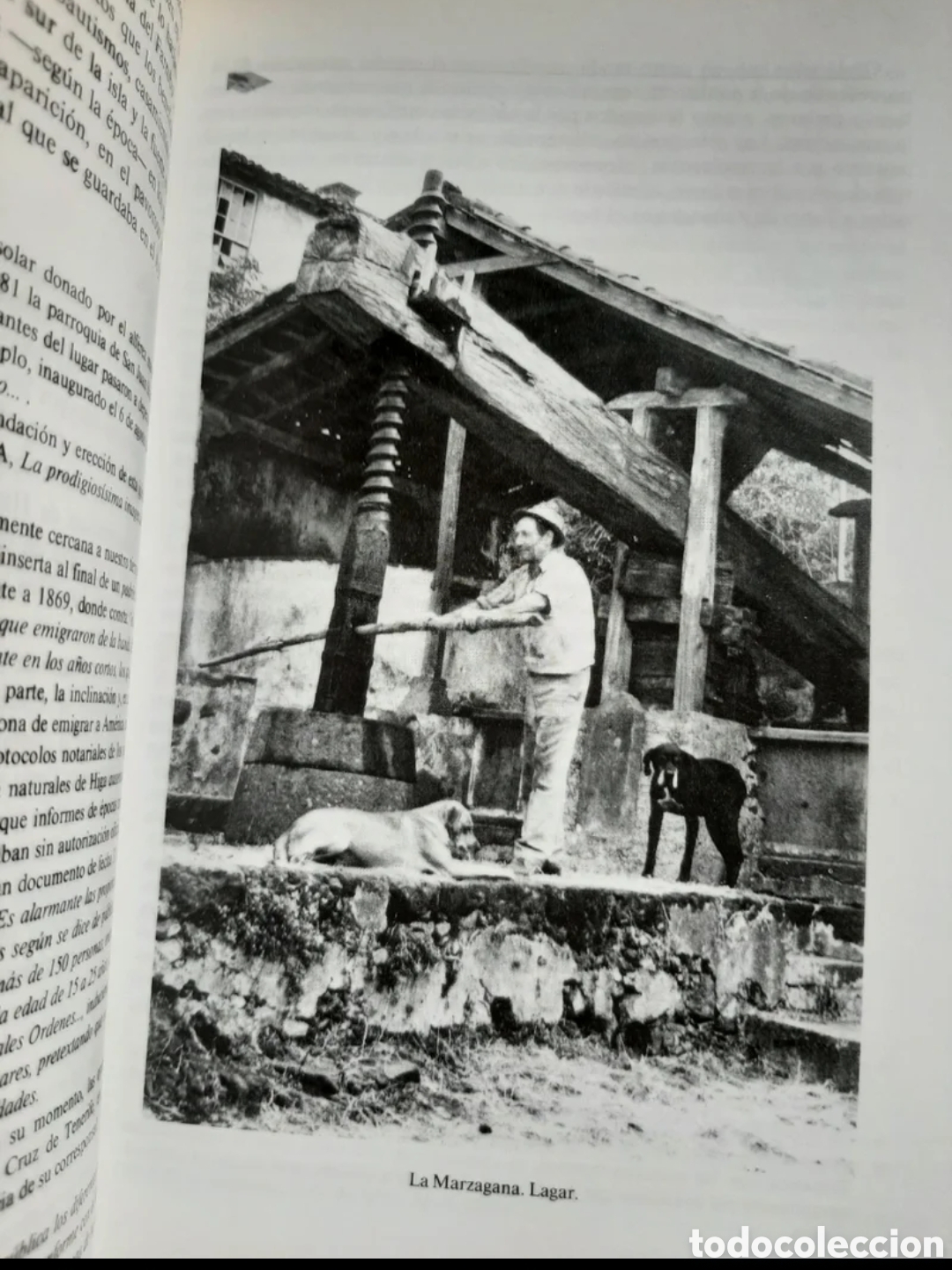 Libros de segunda mano: Higa. M. Rodr&iacute;guez Mesa - Foto 8