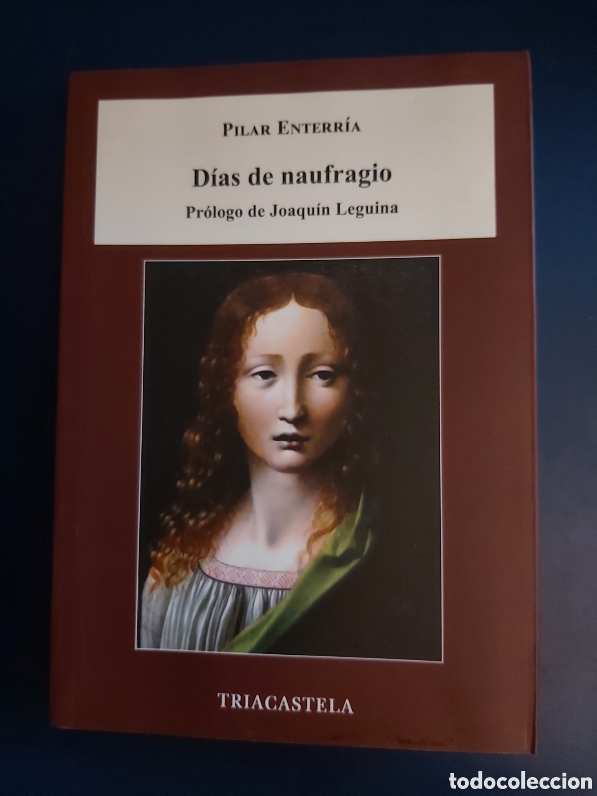 Libri di seconda mano: D&Iacute;AS DE NAUFRAGIO PILAR ENTERR&Iacute;A TRIACASTELA PRIMERA EDICI&Oacute;N 2019