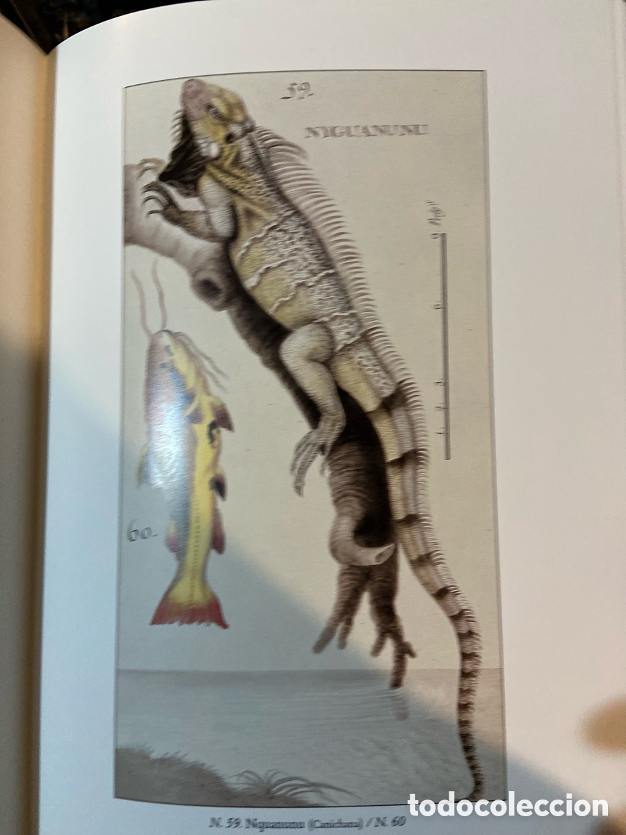 Libros de segunda mano: Moxos - Lazaro de Ribera -A7 - Foto 4