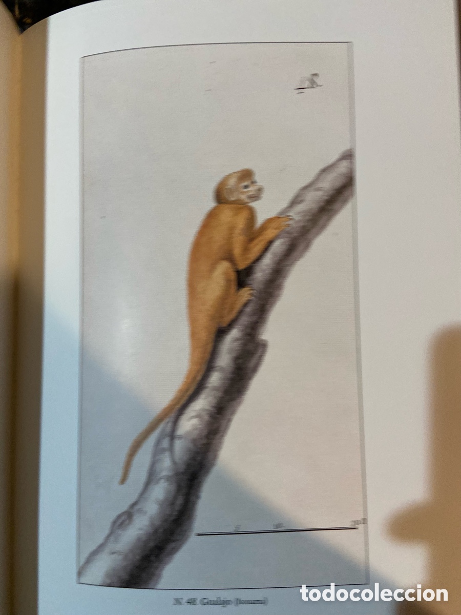 Libros de segunda mano: Moxos - Lazaro de Ribera -A7 - Foto 5