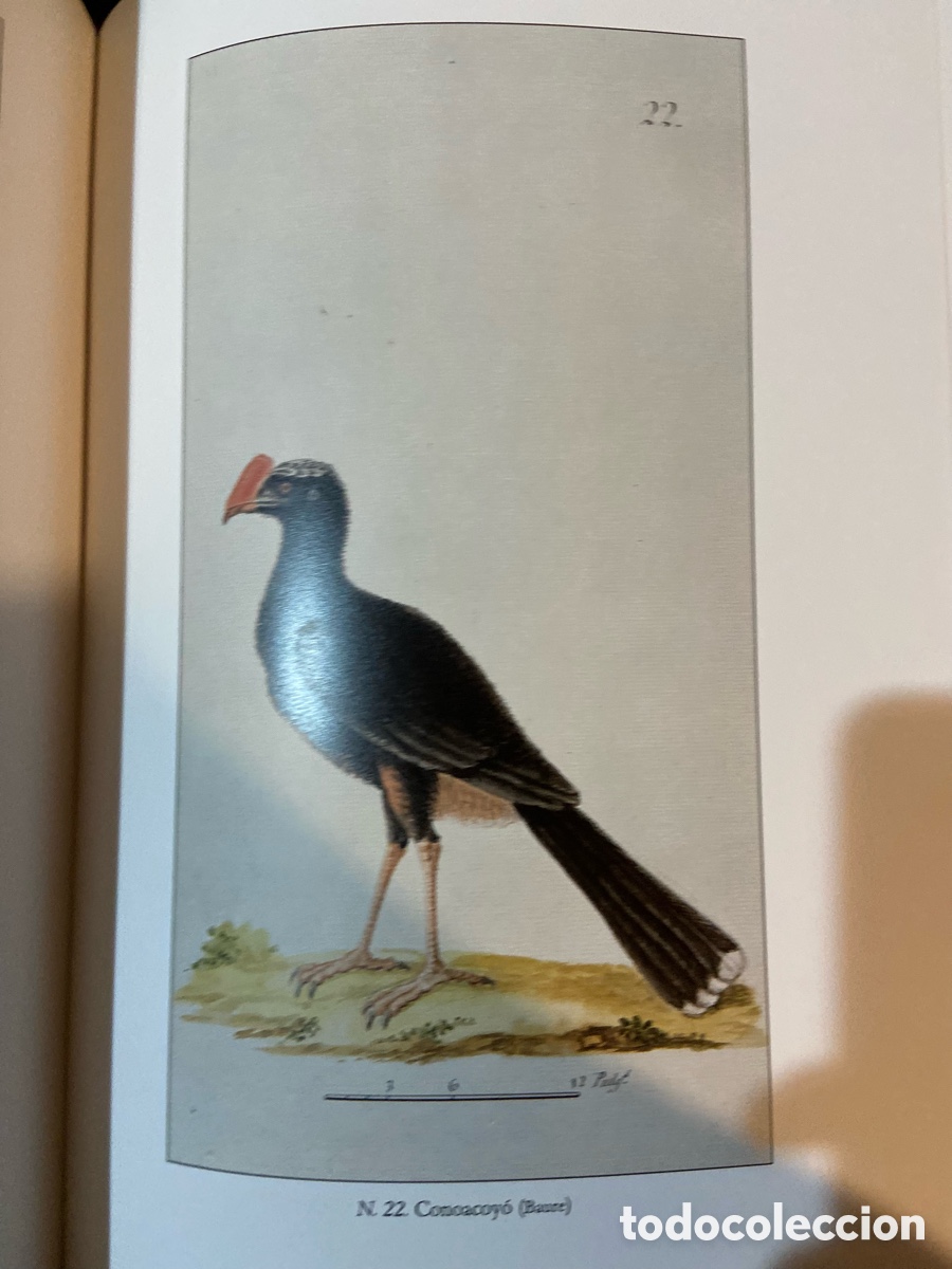 Libros de segunda mano: Moxos - Lazaro de Ribera -A7 - Foto 6