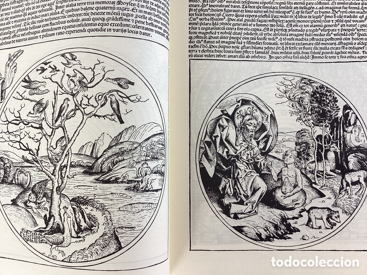 Libros de segunda mano: LIBER CHRONICARUM FACS&Iacute;MIL - Foto 2