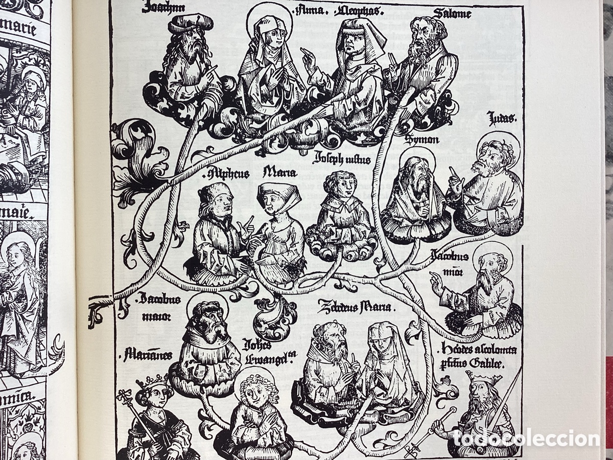 Libros de segunda mano: LIBER CHRONICARUM FACS&Iacute;MIL - Foto 7