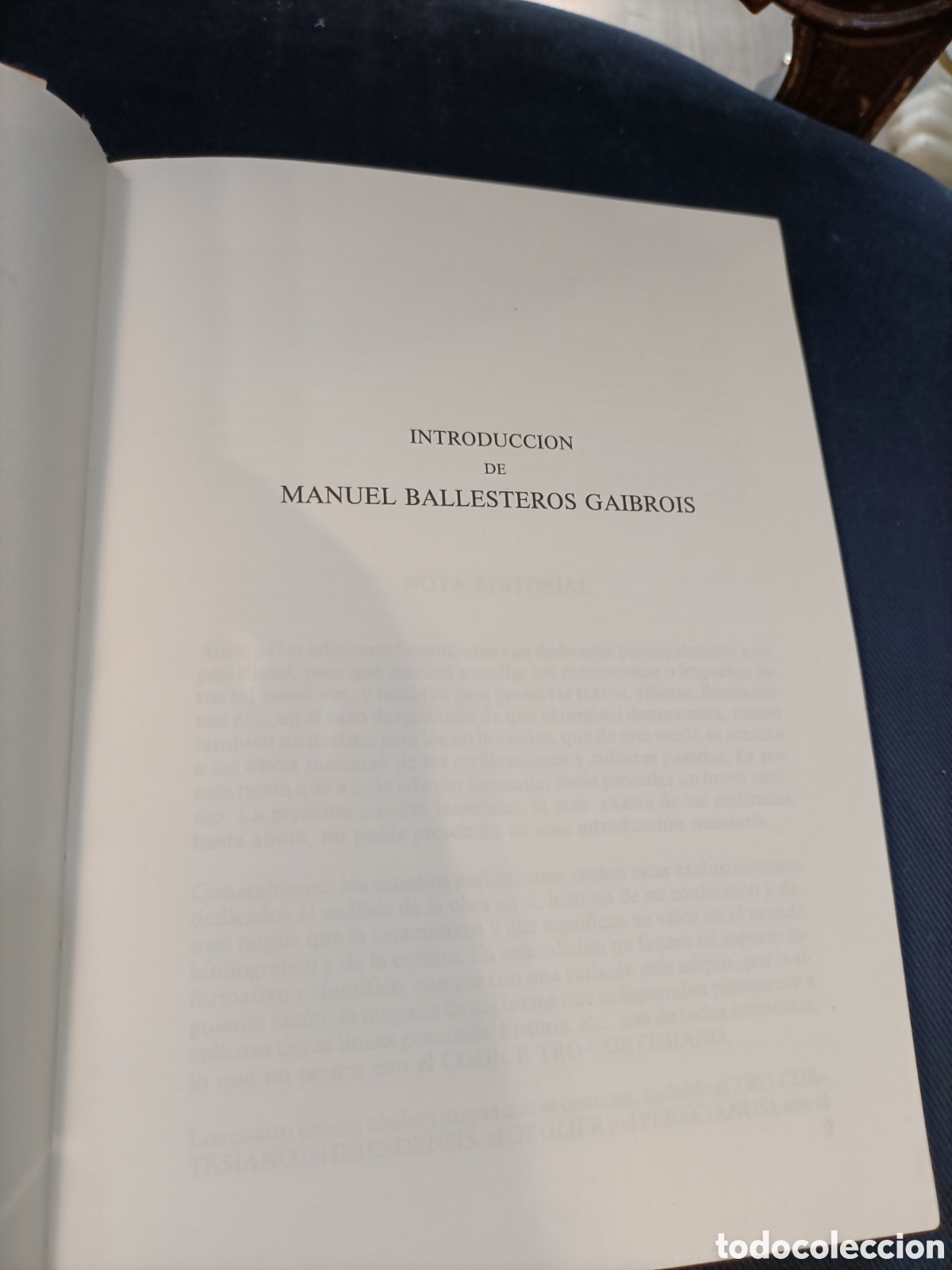 Libros de segunda mano: libro estudio &rdquo;CODICE TRO-CORTESIANO&rdquo; - Foto 8