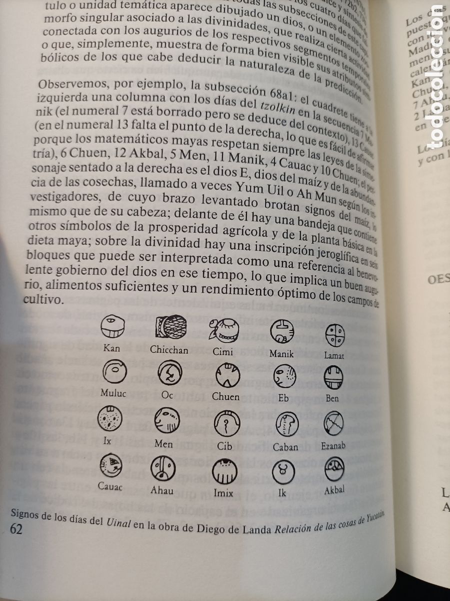 Libros de segunda mano: libro estudio &rdquo;CODICE TRO-CORTESIANO&rdquo; - Foto 12