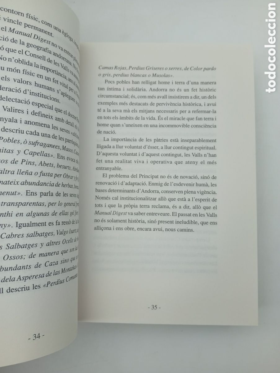 Libros de segunda mano: Manual Digest facs&iacute;mil any 1748 - Foto 3