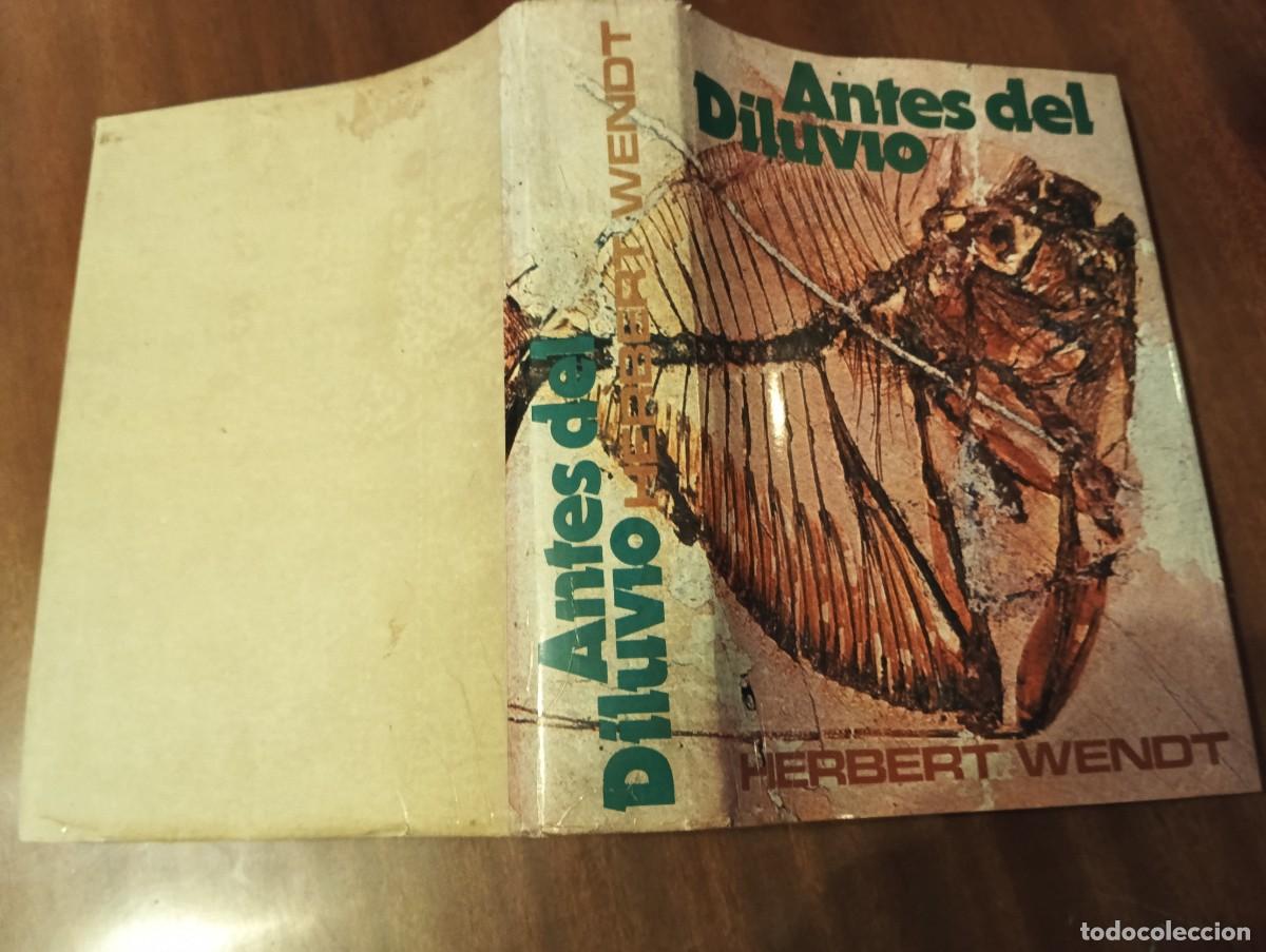 Libros de segunda mano: ANTES DEL DILUVIO .- HERBERT WENDT. - Foto 2