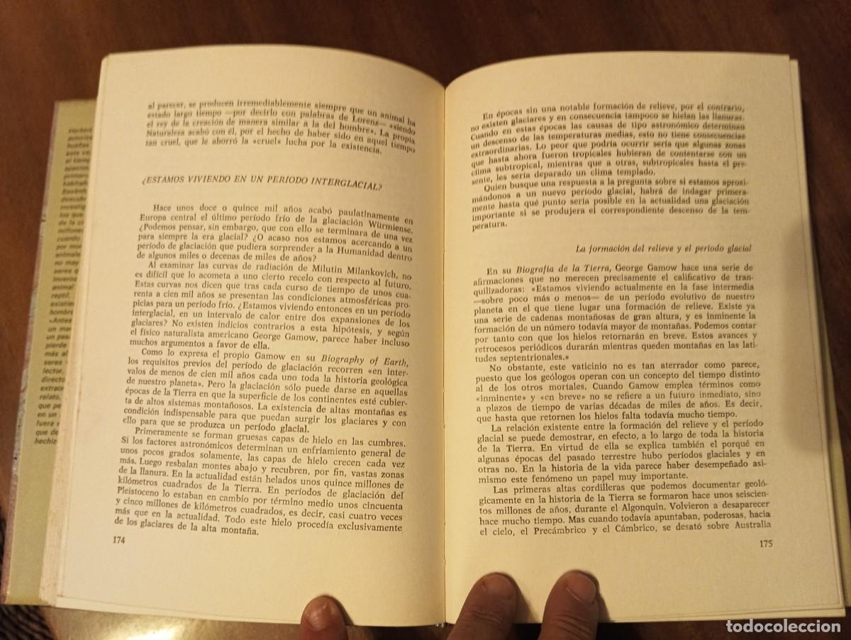Libros de segunda mano: ANTES DEL DILUVIO .- HERBERT WENDT. - Foto 3