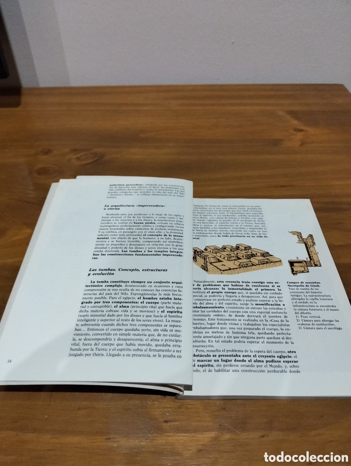 Libros de segunda mano: Historia del arte del Pr&oacute;ximo Oriente - Foto 3